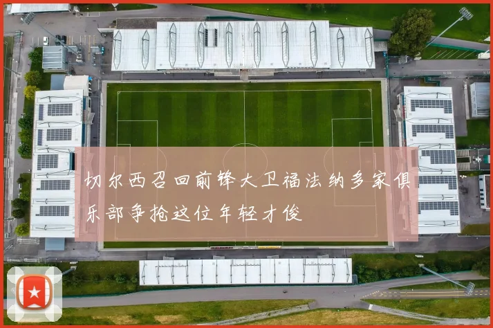 切尔西召回前锋大卫福法纳多家俱乐部争抢这位年轻才俊